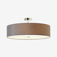 Light Ceiling Light
